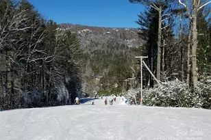 117 Speckled Feather Pass, Sapphire, NC 28774 - Photo 21