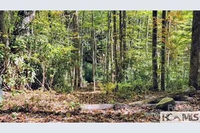 117 Speckled Feather Pass, Sapphire, NC 28774 - Photo 7