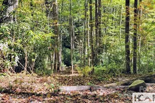 117 Speckled Feather Pass, Sapphire, NC 28774 - Photo 7