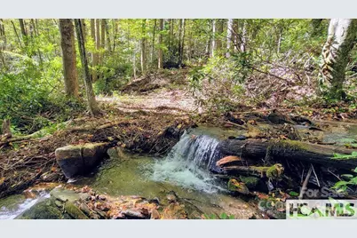 117 Speckled Feather Pass, Sapphire, NC 28774 - Photo 3