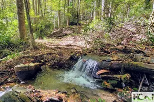 117 Speckled Feather Pass, Sapphire, NC 28774 - Photo 3