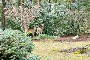 104 34th Ave NE, Hickory, NC 28601 - Photo 17