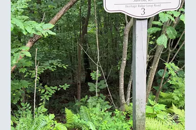 Lot 3 Heritage Ridge Loop #3/4, Burnsville, NC 28714 - Photo 5