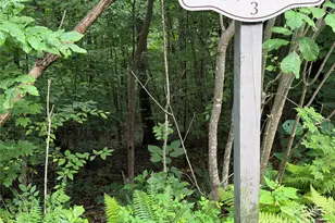 Lot 3 Heritage Ridge Loop, Burnsville, NC 28714 - Photo 5