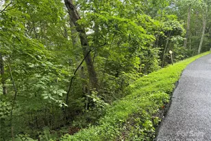 Lot 3 Heritage Ridge Loop, Burnsville, NC 28714 - Photo 3