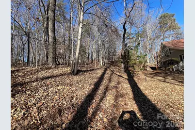 430 Laurel Heights Lane, Tryon, NC 28782 - Photo 41