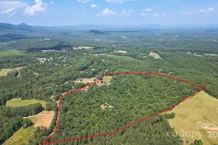 781 Freemantown Rd, Rutherfordton, NC 28139 - Photo 41