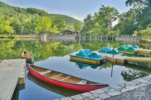 328 Texas Rd, Montreat, NC 28757 - Photo 3