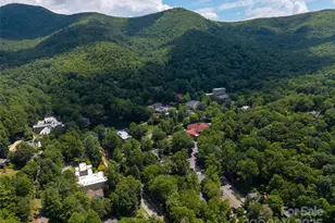 328 Texas Rd, Montreat, NC 28757 - Photo 27