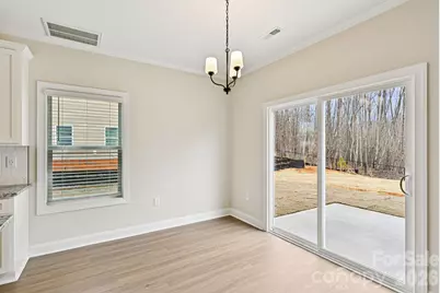 121 Rills Crossing Way, Troutman, NC 28166 - Photo 9