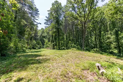 160 McLean Road, Weaverville, NC 28787 - Photo 7