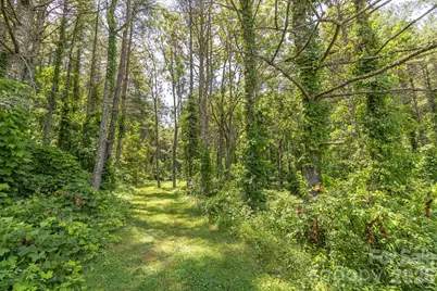 160 McLean Road, Weaverville, NC 28787 - Photo 21