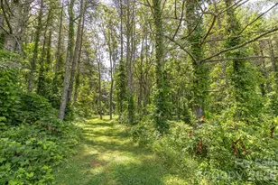 160 McLean Rd, Weaverville, NC 28787 - Photo 21