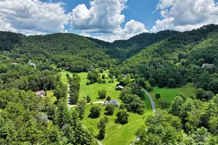 80 Meadow Cr Dr, Weaverville, NC 28787 - Photo 43