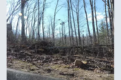 Lot15 Mountain Heritage Road, Burnsville, NC 28714 - Photo 35