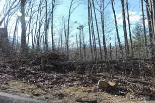 Lot15 Mountain Heritage Rd, Burnsville, NC 28714 - Photo 35