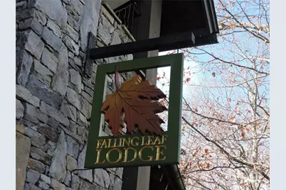 Lot15 Mountain Heritage Road, Burnsville, NC 28714 - Photo 13