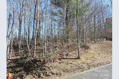 Lot15 Mountain Heritage Road, Burnsville, NC 28714 - Photo 43