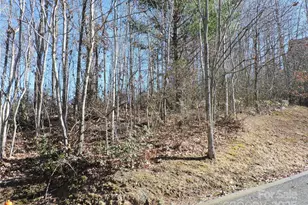 Lot15 Mountain Heritage Rd, Burnsville, NC 28714 - Photo 43