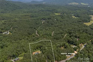 334 Arbra Mountain Wy, Bostic, NC 28018 - Photo 45