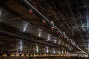 3048 Morning Glory Ln, Vale, NC 28168 - Photo 13