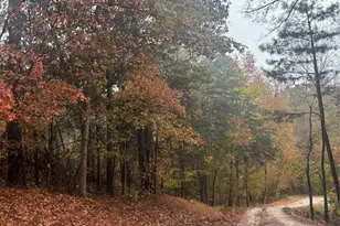 2877 Shannon St, Sharon, SC 29742 - Photo 29