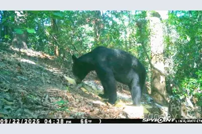 Lot 45 Ridgecrest Drive, Lake Lure, NC 28746 - Photo 7