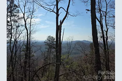 Lot 45 Ridgecrest Drive, Lake Lure, NC 28746 - Photo 11