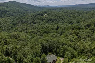 23 Jay Foster Way, Saluda, NC 28773 - Photo 39