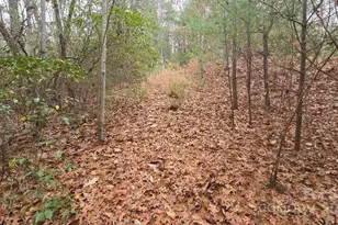 23 Jay Foster Way, Saluda, NC 28773 - Photo 45