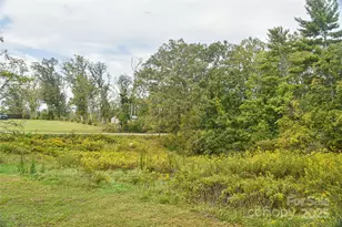 134 Goldview Rd, Asheville, NC 28804 - Photo 11