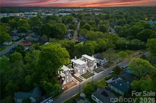 719 Charles Ave, Charlotte, NC 28205 - Photo 39