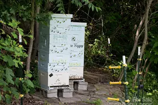 130 Blf Crk Ter, Candler, NC 28715 - Photo 43