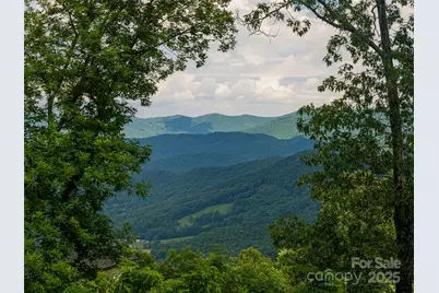 130 Bluff Creek Terrace, Candler, NC 28715 - Photo 19