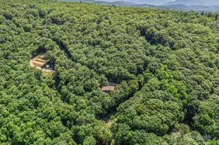 291 Pine Ridge Rd, Hendersonville, NC 28792 - Photo 9