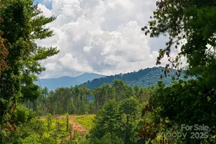 25 Elkins Branch Rd, Weaverville, NC 28787 - Photo 39