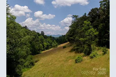 25 Elkins Branch Road, Weaverville, NC 28787 - Photo 47