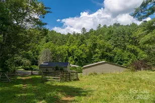 25 Elkins Branch Rd, Weaverville, NC 28787 - Photo 27