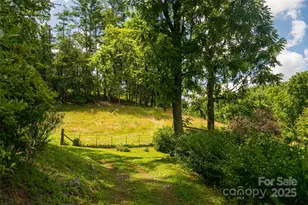 25 Elkins Branch Rd, Weaverville, NC 28787 - Photo 23