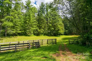 25 Elkins Branch Rd, Weaverville, NC 28787 - Photo 21