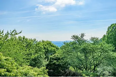 153 Country Ridge Road, Laurel Park, NC 28739 - Photo 41