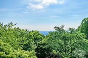 153 Country Ridge Rd, Laurel Park, NC 28739 - Photo 41