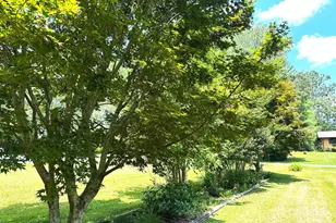 25 Norman Rd, Fletcher, NC 28732 - Photo 47