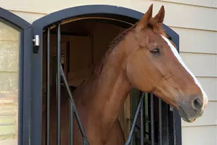 533 Blonnie Ross Rd, Polkton, NC 28135 - Photo 41