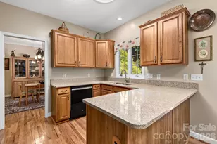 212 Blue Ridge Vista, Asheville, NC 28805 - Photo 15