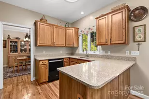 212 Blue Ridge Vista, Asheville, NC 28805 - Photo 9