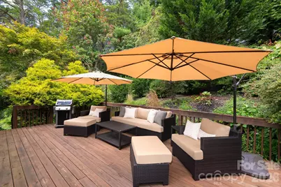 212 Blue Ridge Vista, Asheville, NC 28805 - Photo 23