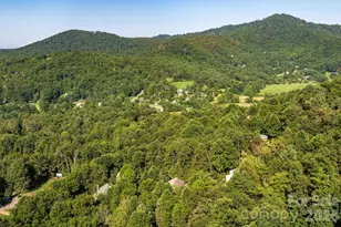212 Blue Ridge Vista, Asheville, NC 28805 - Photo 41