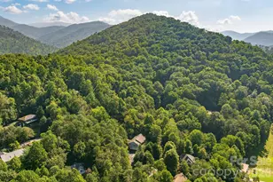 212 Blue Ridge Vista, Asheville, NC 28805 - Photo 33