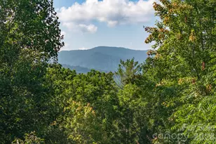 212 Blue Ridge Vista, Asheville, NC 28805 - Photo 7